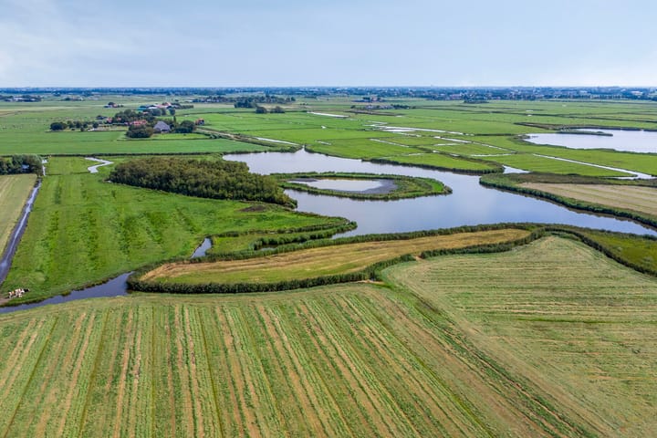 Photo 30 of Driehuizen 20