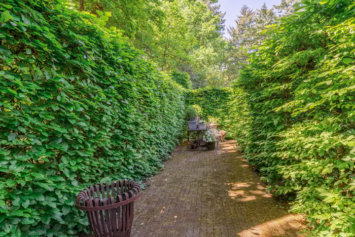 Photo 27 of Eikenlaan 2