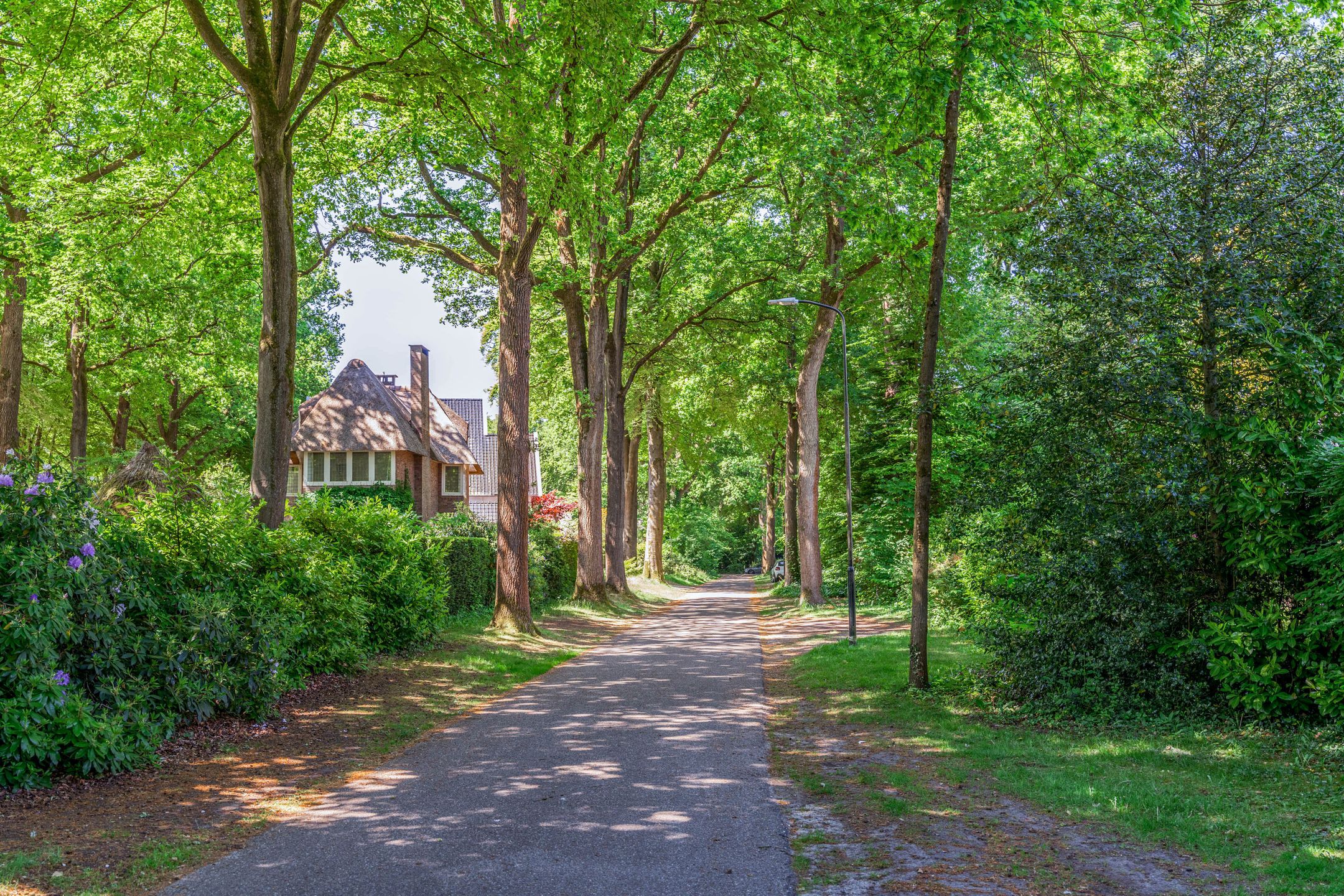 Photo 69 of Eikenlaan 2