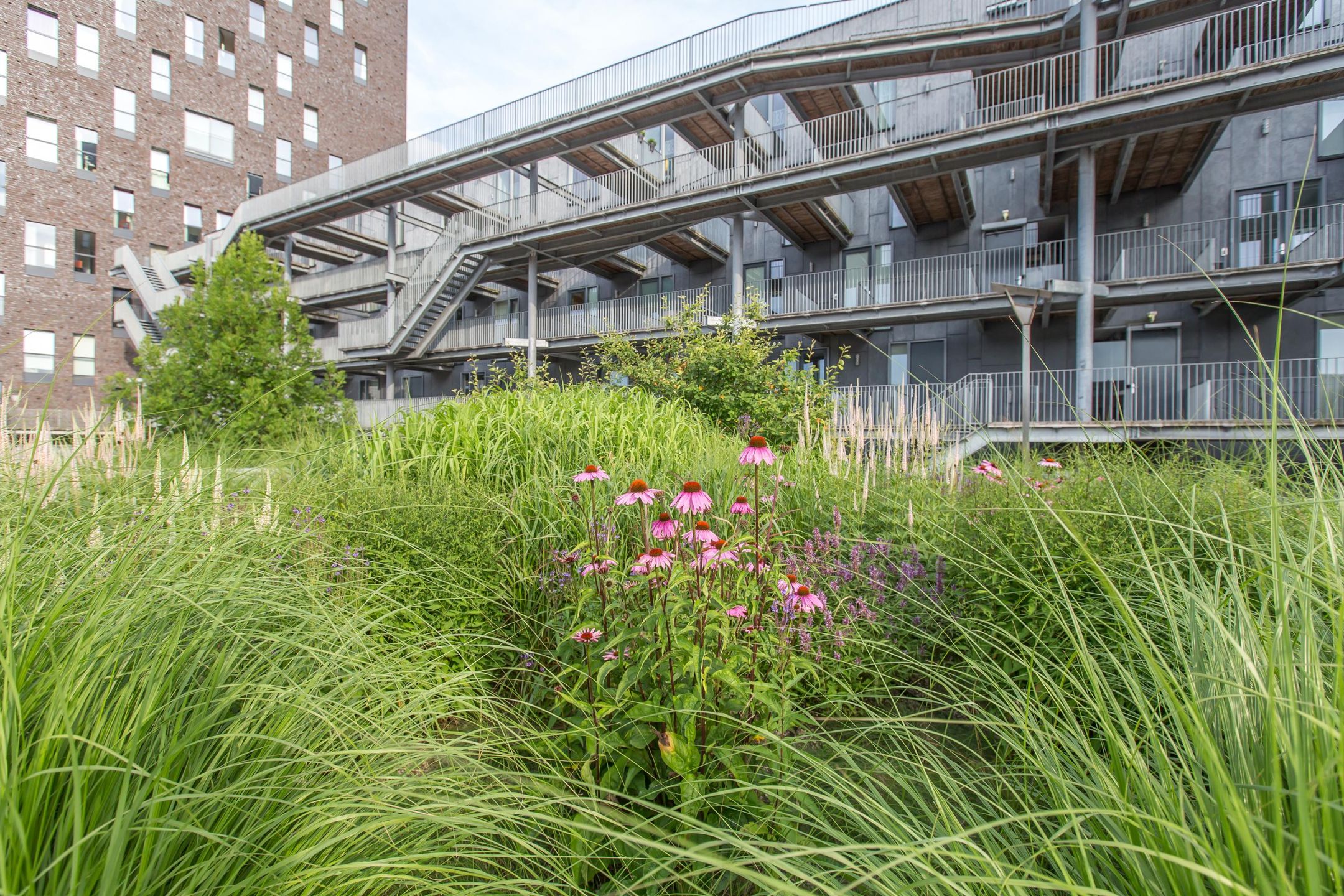 Foto 12 van Het Hout 10