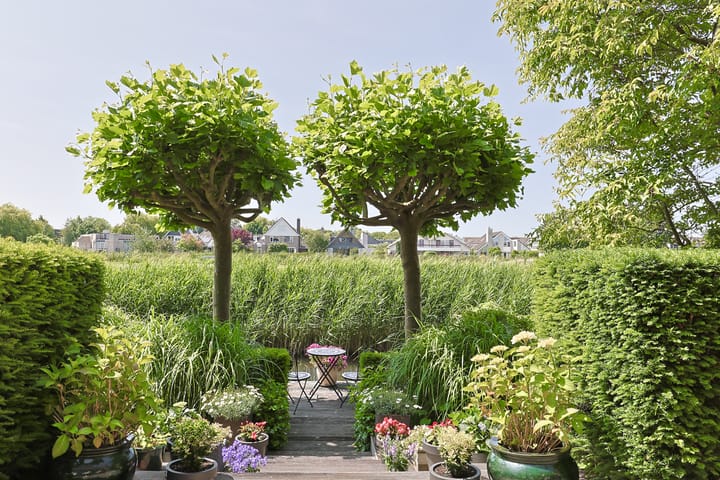 Foto 7 van Brugwacht 74