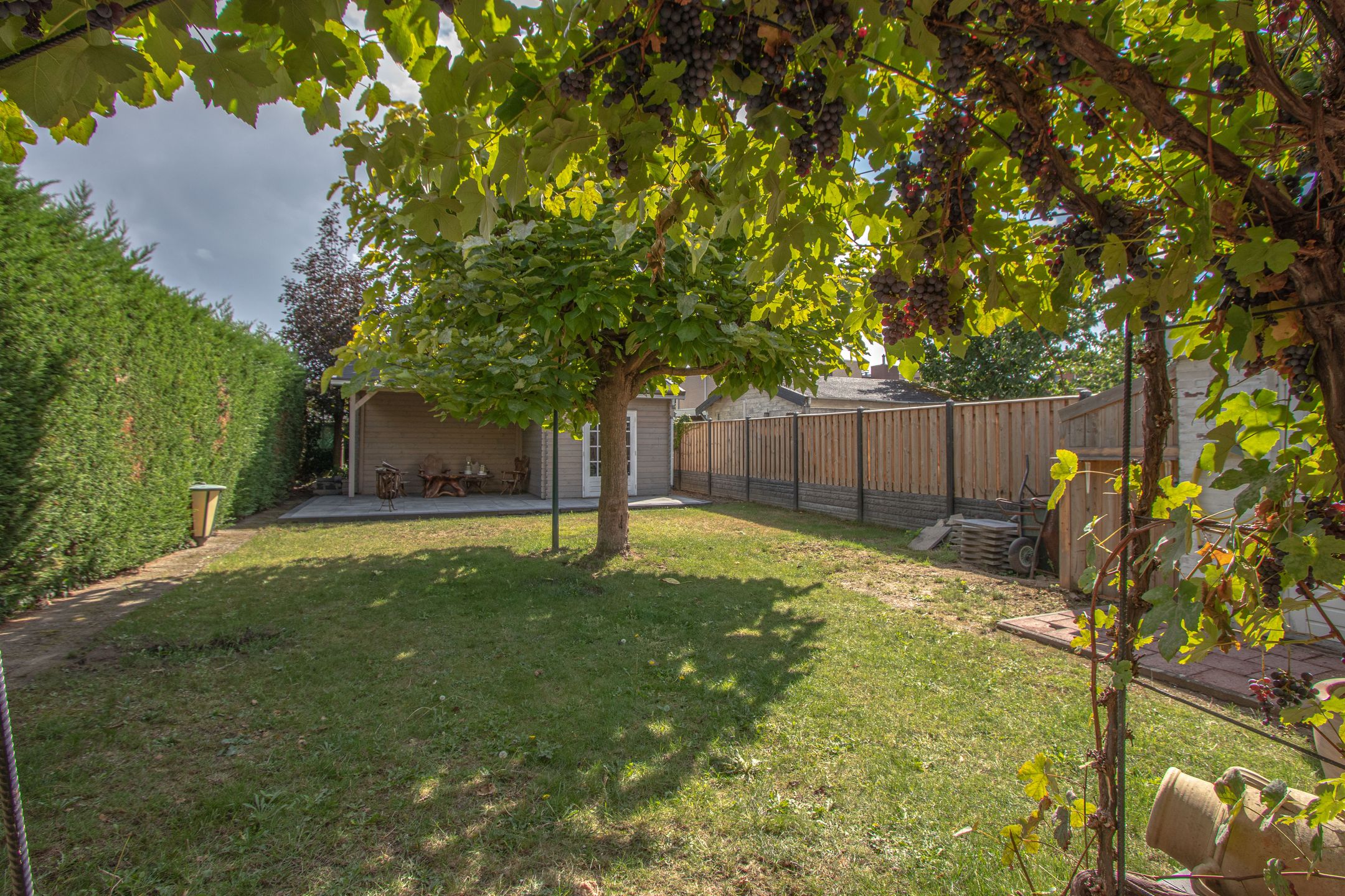 Foto 6 van Kamille 9