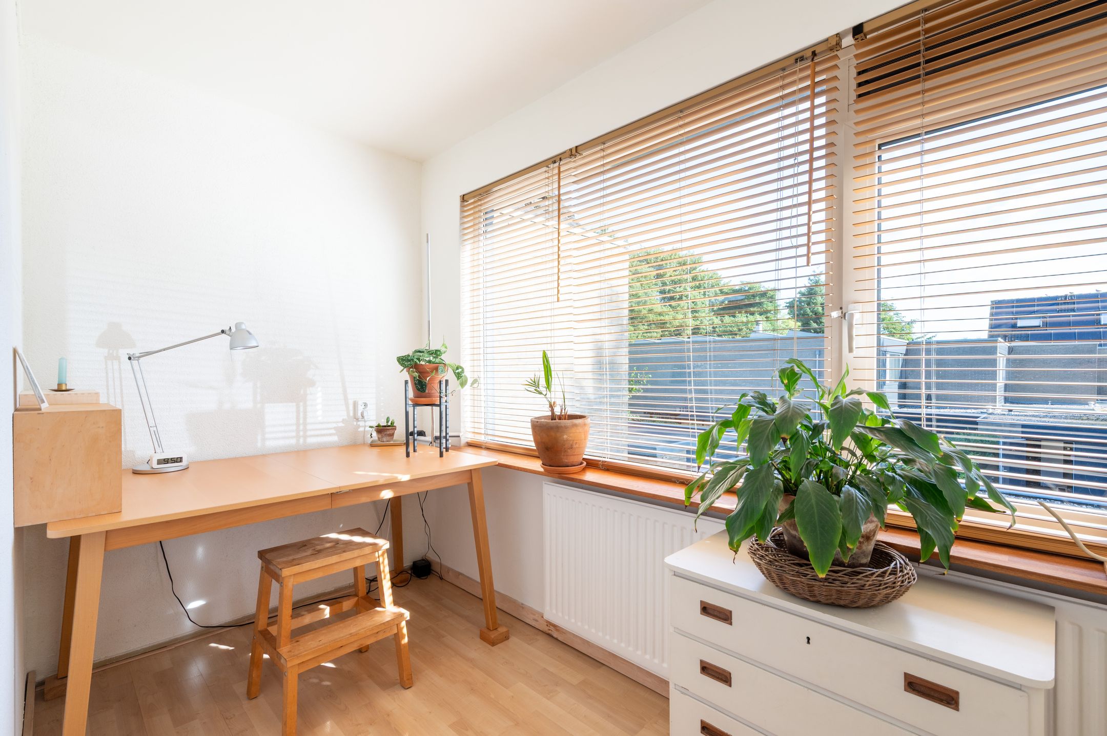 Photo 27 of Kruizemuntstraat 403