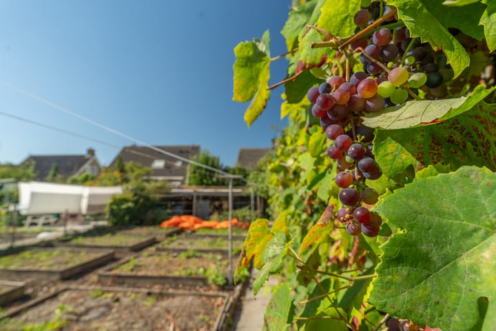 Foto 40 van Zandweg 41