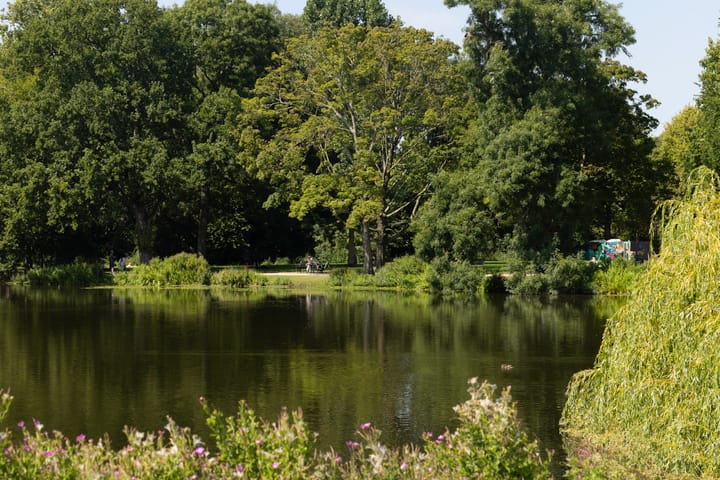 Foto 49 van Willemsparkweg 182-3