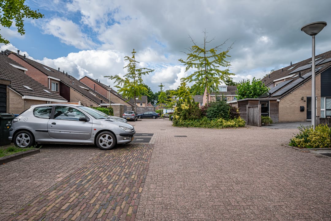 Foto 2 van Mokkenland 40