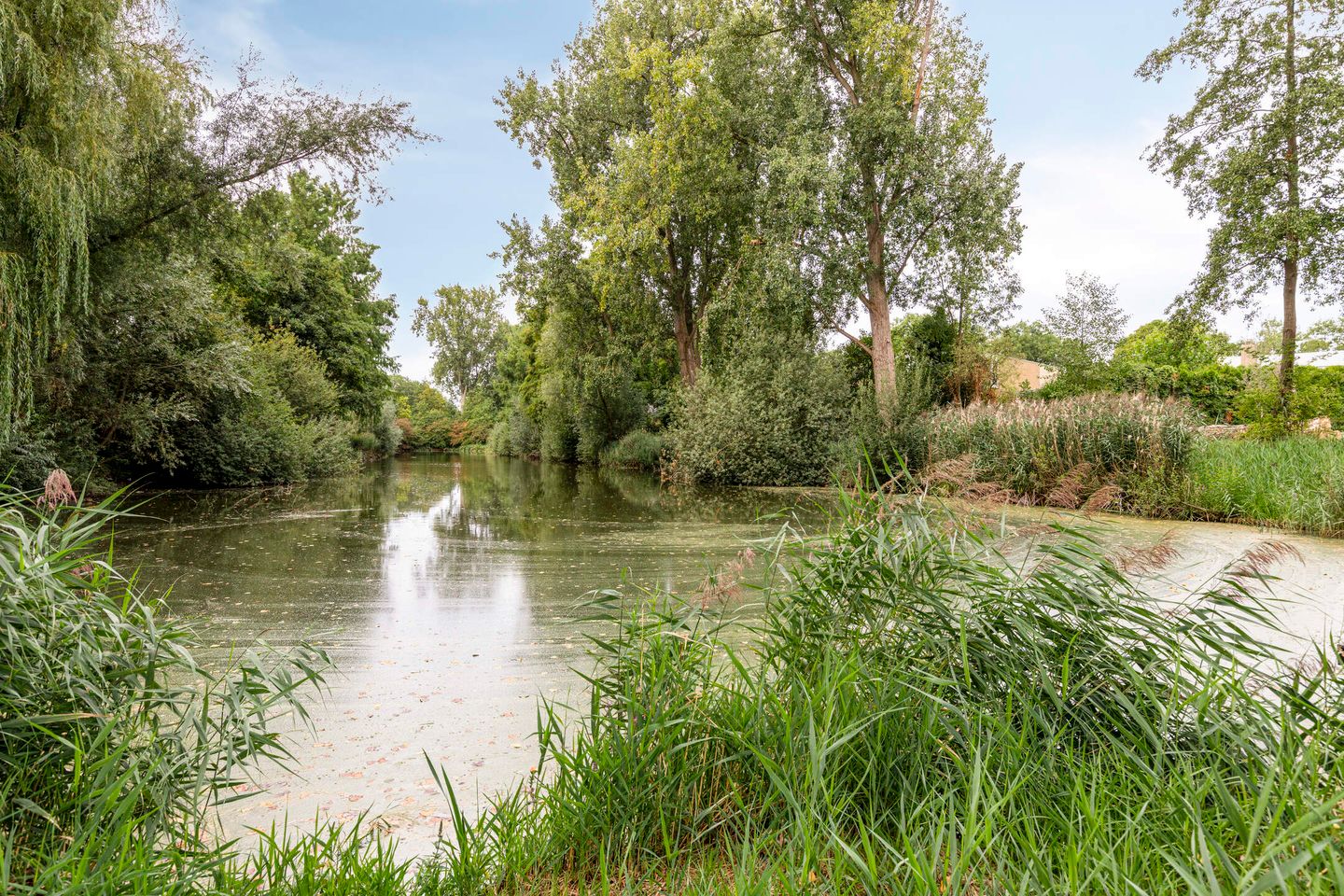 Foto 34 van Perseuslaan 26