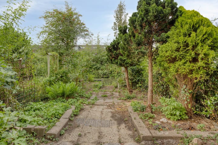 Foto 2 van Bilzekruid 17