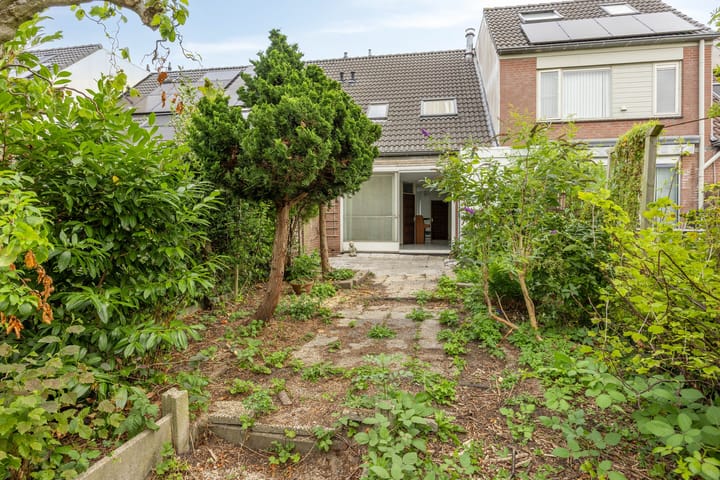 Foto 3 van Bilzekruid 17