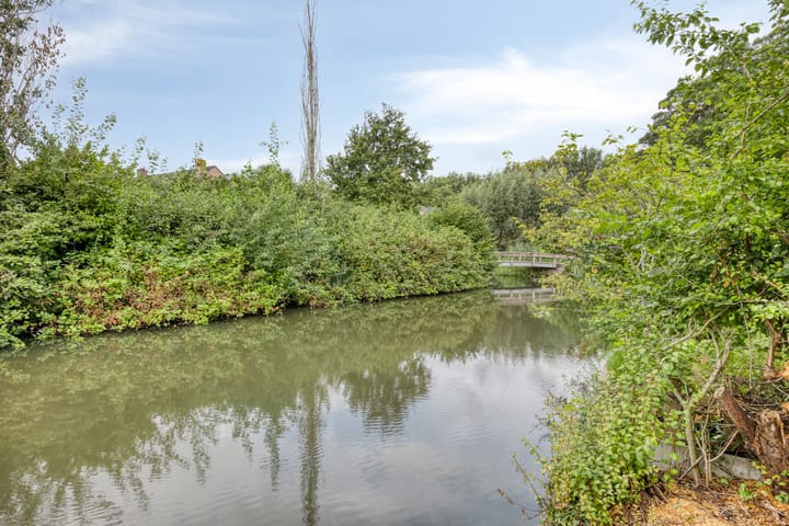 Foto 4 van Bilzekruid 17