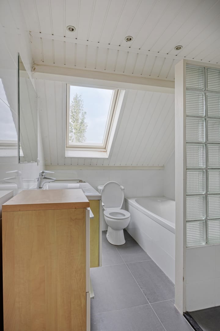 Foto 12 van Bilzekruid 17