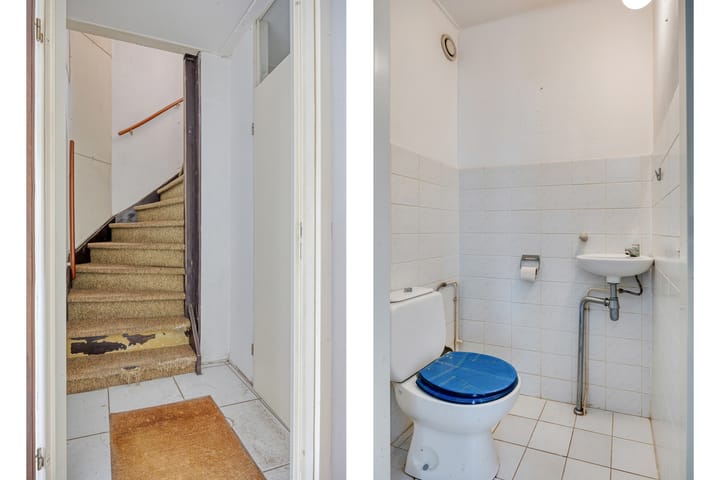 Foto 18 van Bilzekruid 17