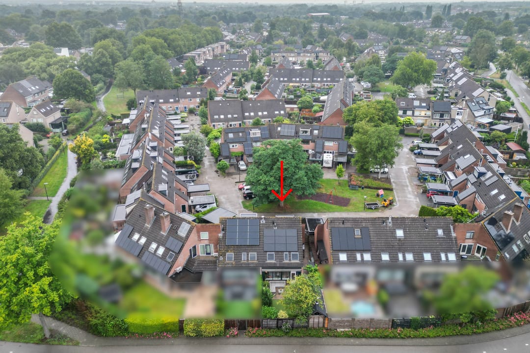 Foto 37 van Zwaardvegersveld 13