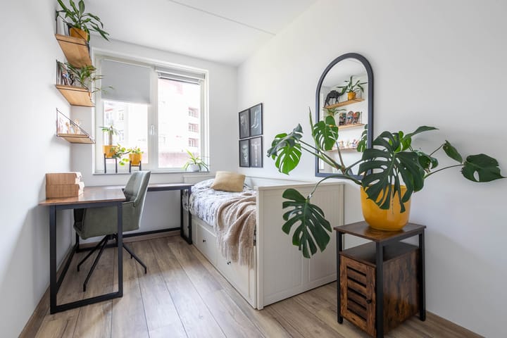 Foto 11 van Dr. Dreeslaan 10