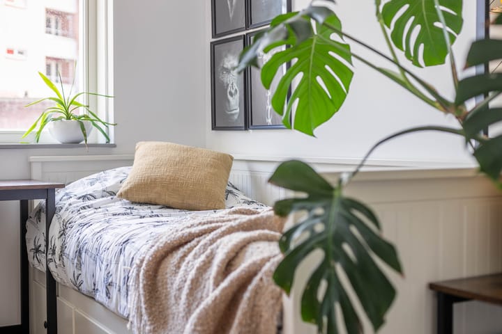 Foto 12 van Dr. Dreeslaan 10