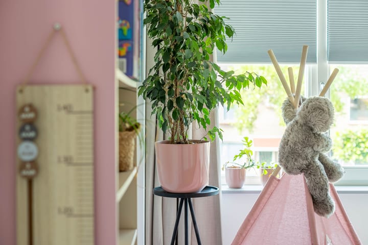 Foto 14 van Dr. Dreeslaan 10