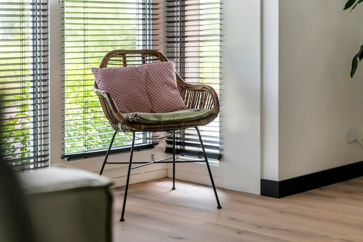 Foto 10 van Kievit 100