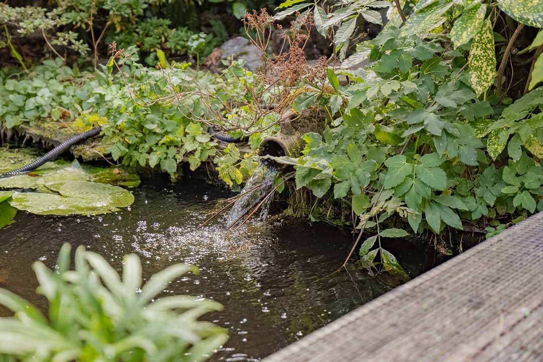 Photo 61 of Zilkerduinweg 72