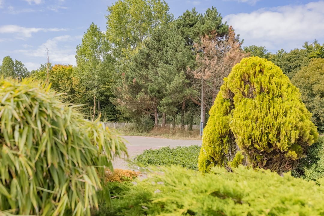 Photo 68 of Zilkerduinweg 72