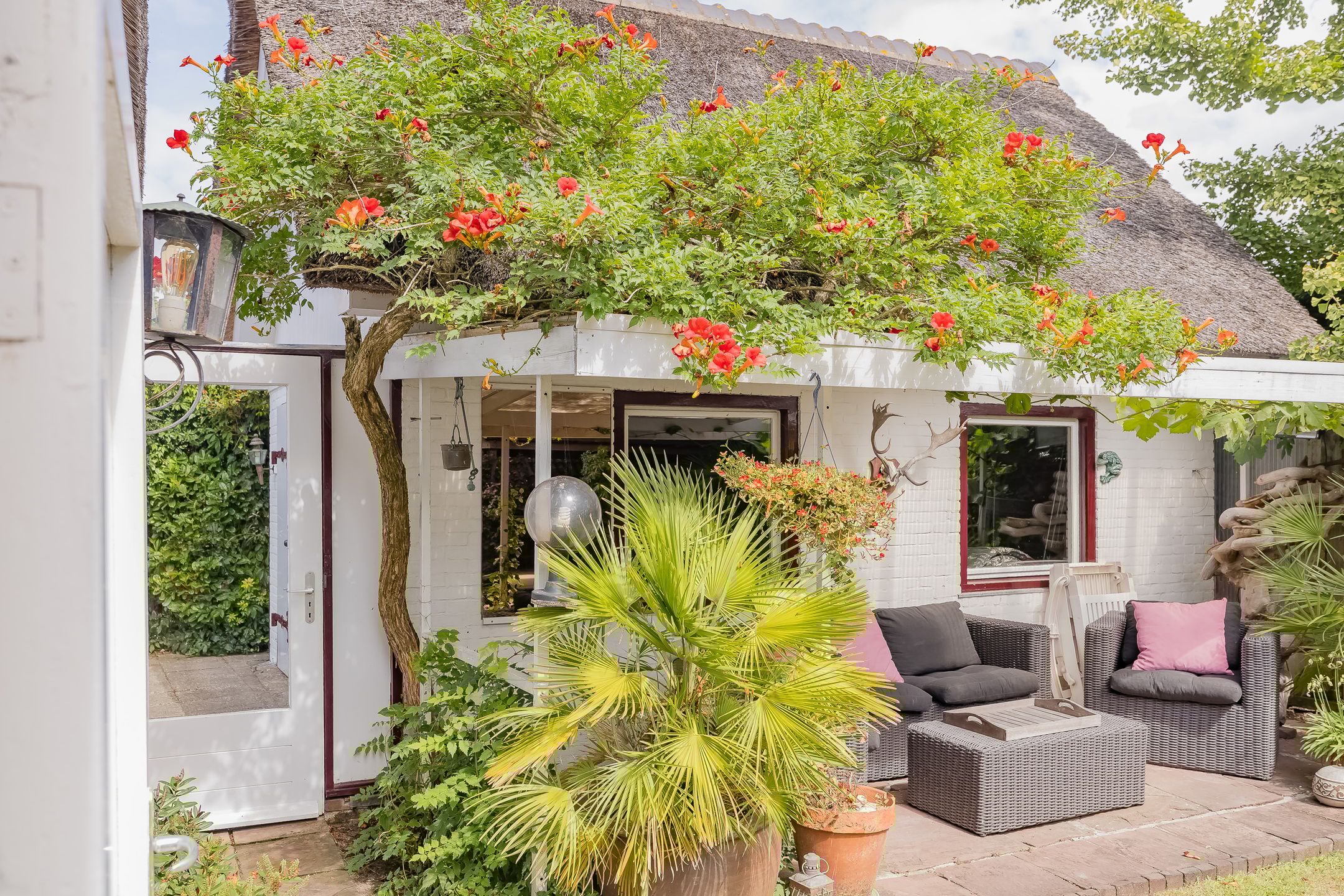 Photo 72 of Zilkerduinweg 72