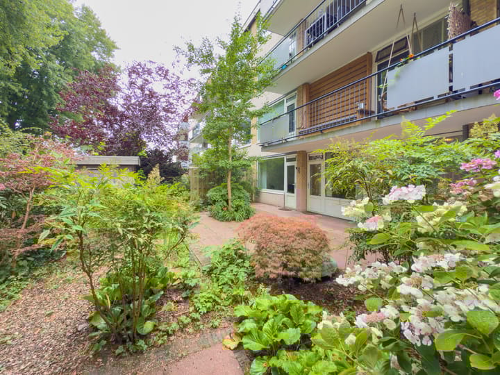 Foto 2 van Van Opbergenstraat 22