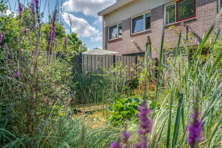 Foto 40 van De Held 47