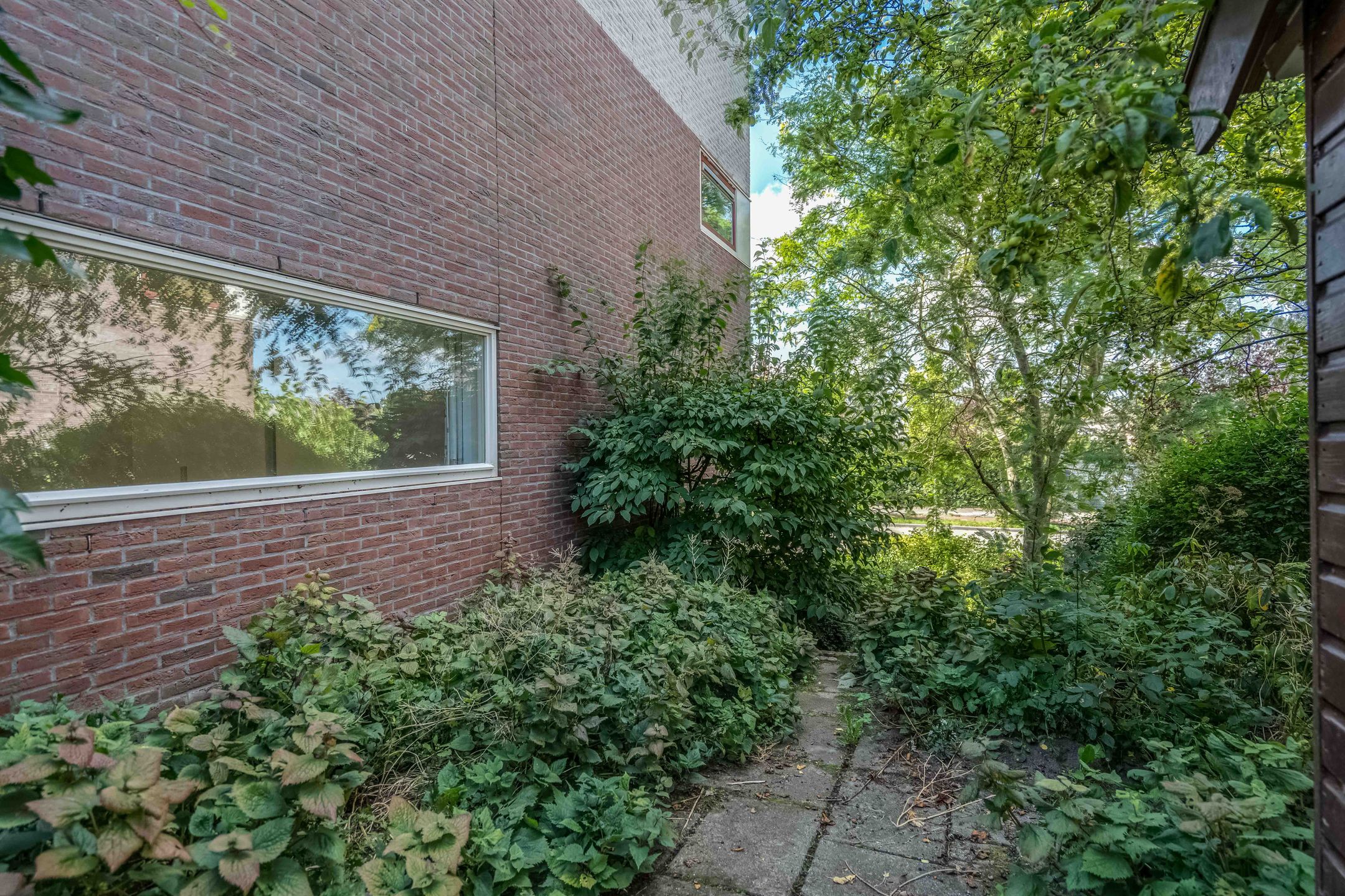 Foto 42 van De Held 47