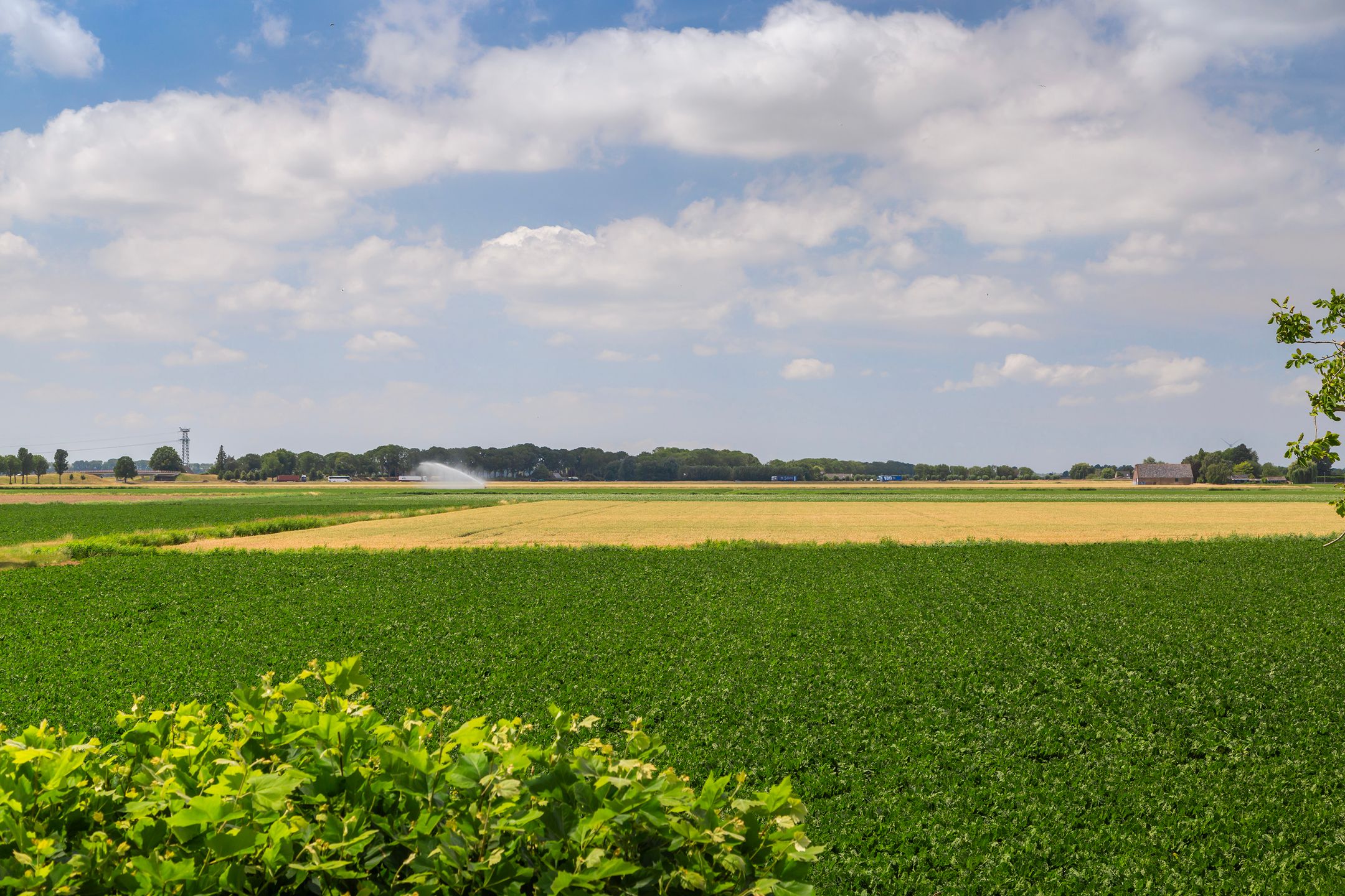 Photo 57 of Molendijk 90