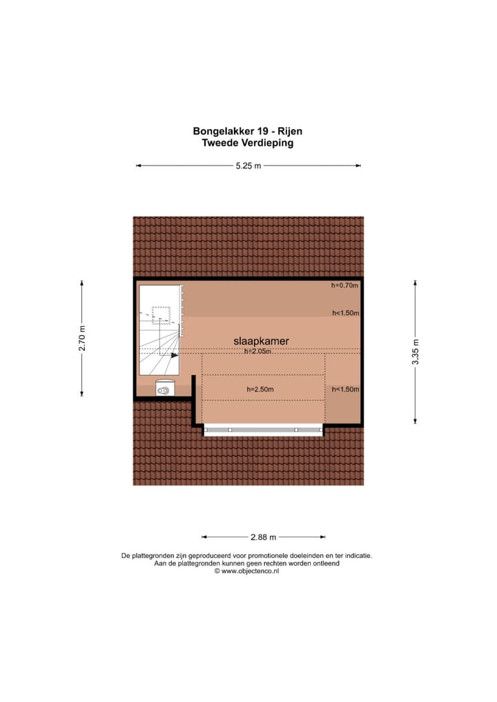 Foto 51 van Bongelakker 19
