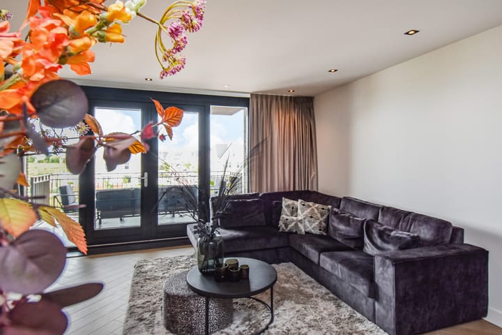 Foto 12 van Hermelijn 11