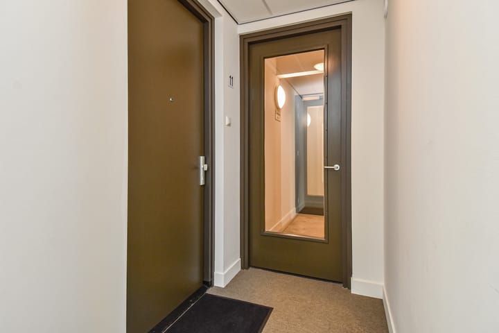 Foto 44 van Hermelijn 11