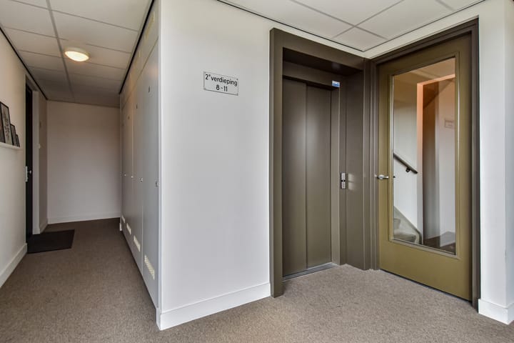 Foto 45 van Hermelijn 11