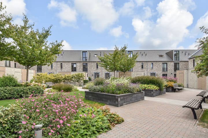 Foto 47 van Hermelijn 11