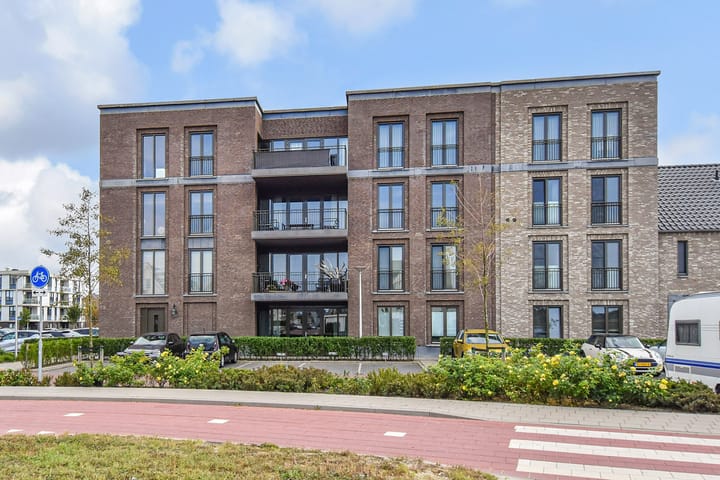 Foto 50 van Hermelijn 11