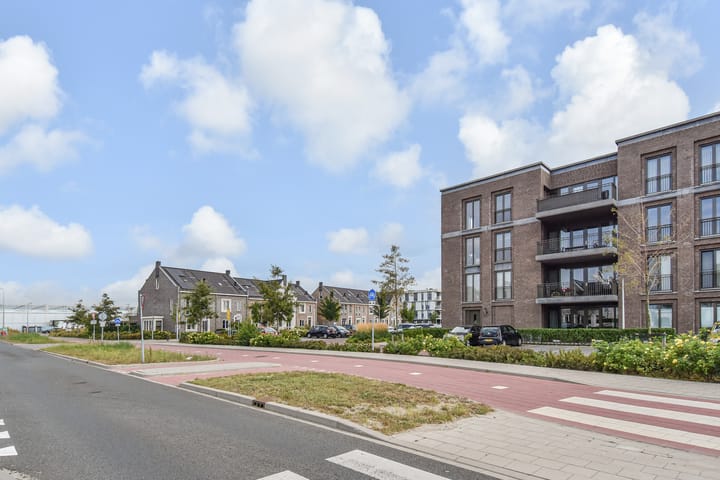 Foto 52 van Hermelijn 11