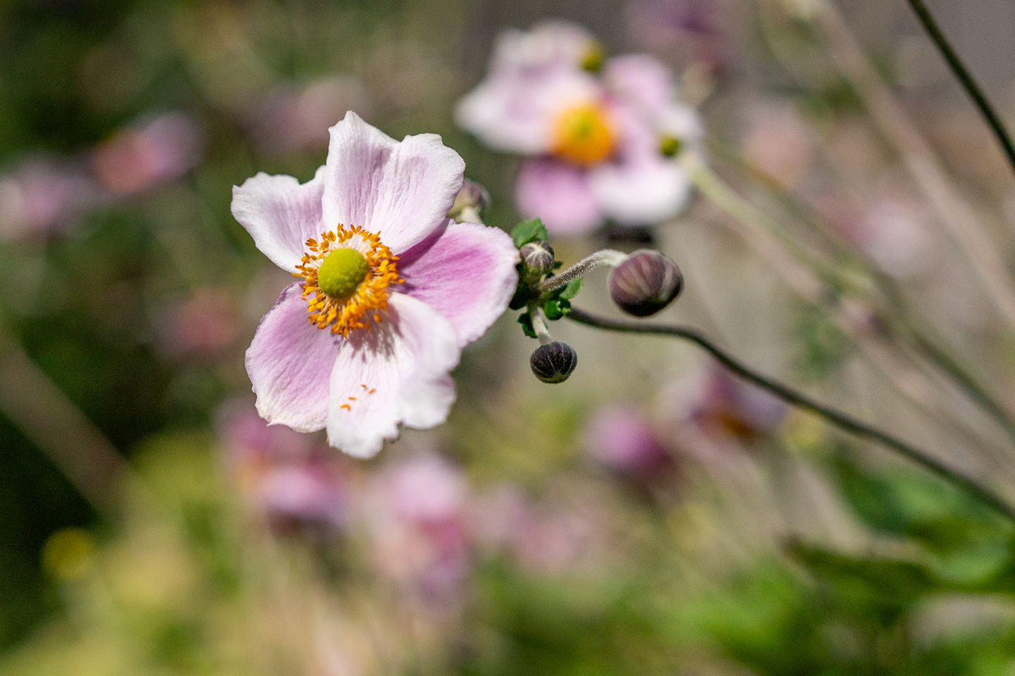 Foto 25 van De Waarden 9