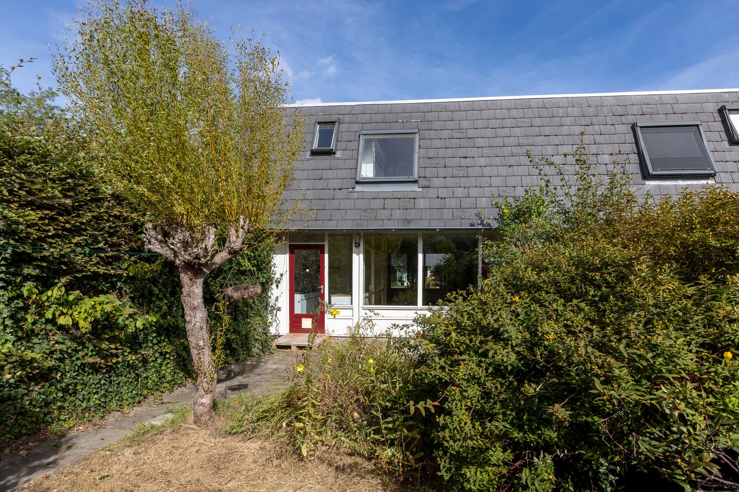 Foto 19 van Rietland 16