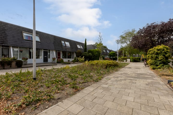 Foto 20 van Rietland 16