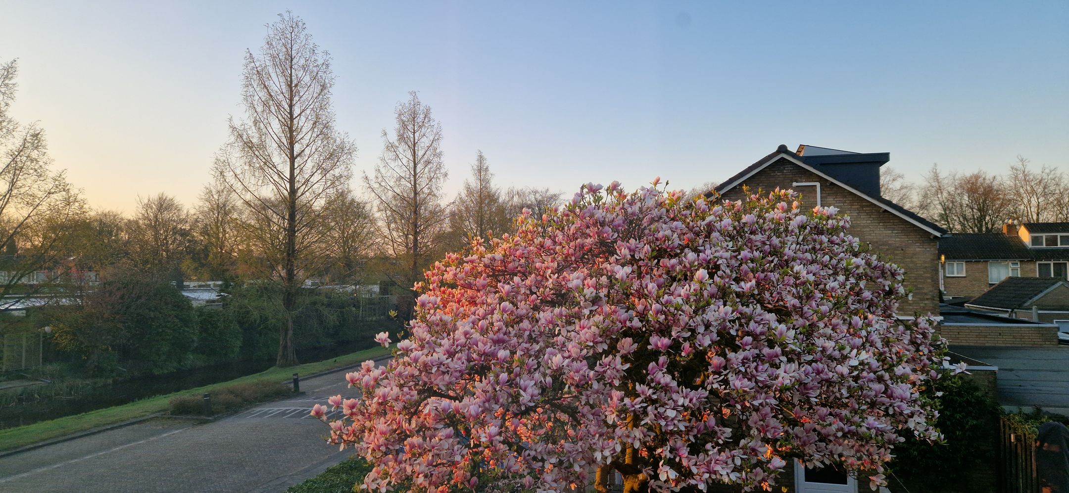 Photo 45 of Ganzerikstraat 30