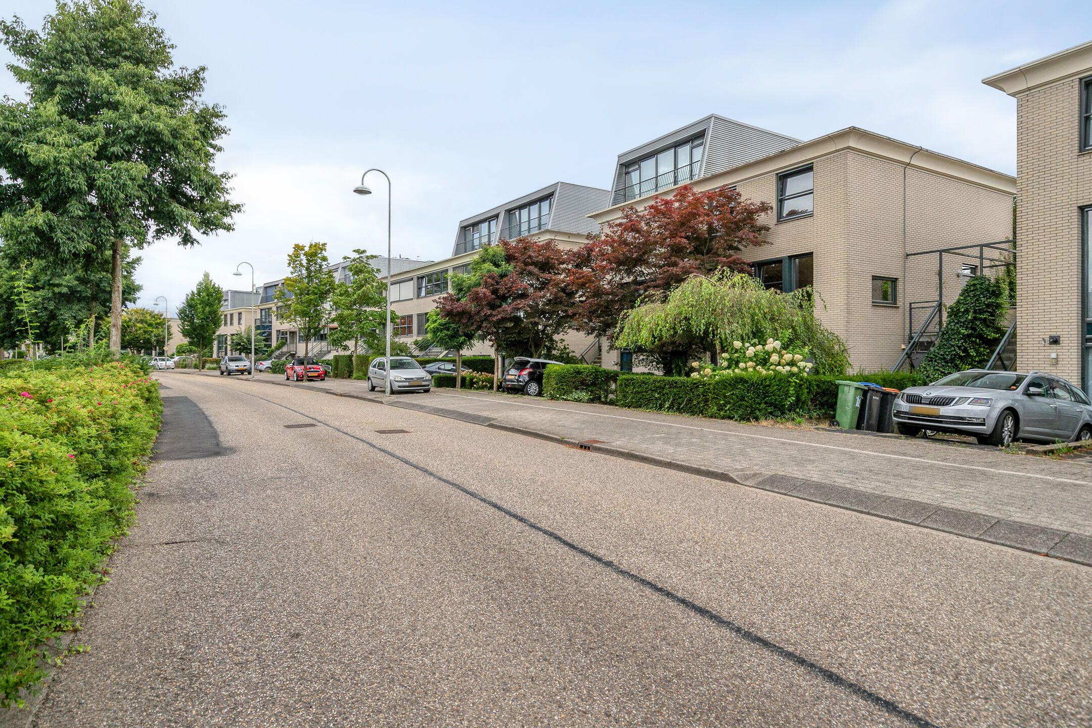 Foto 6 van Afrikaring 59