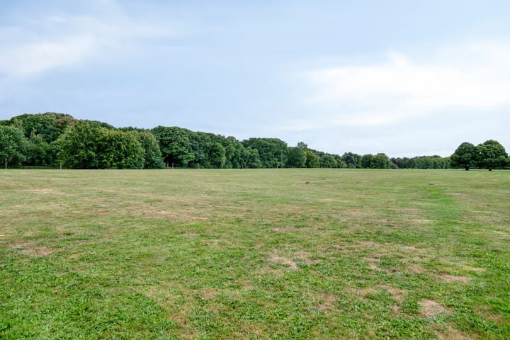 Foto 43 van Afrikaring 59