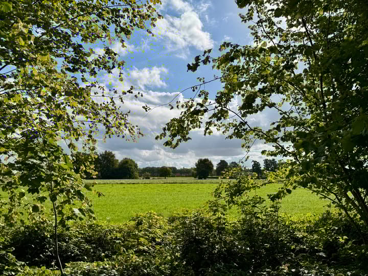 Foto 8 van Hoofdweg 42 B