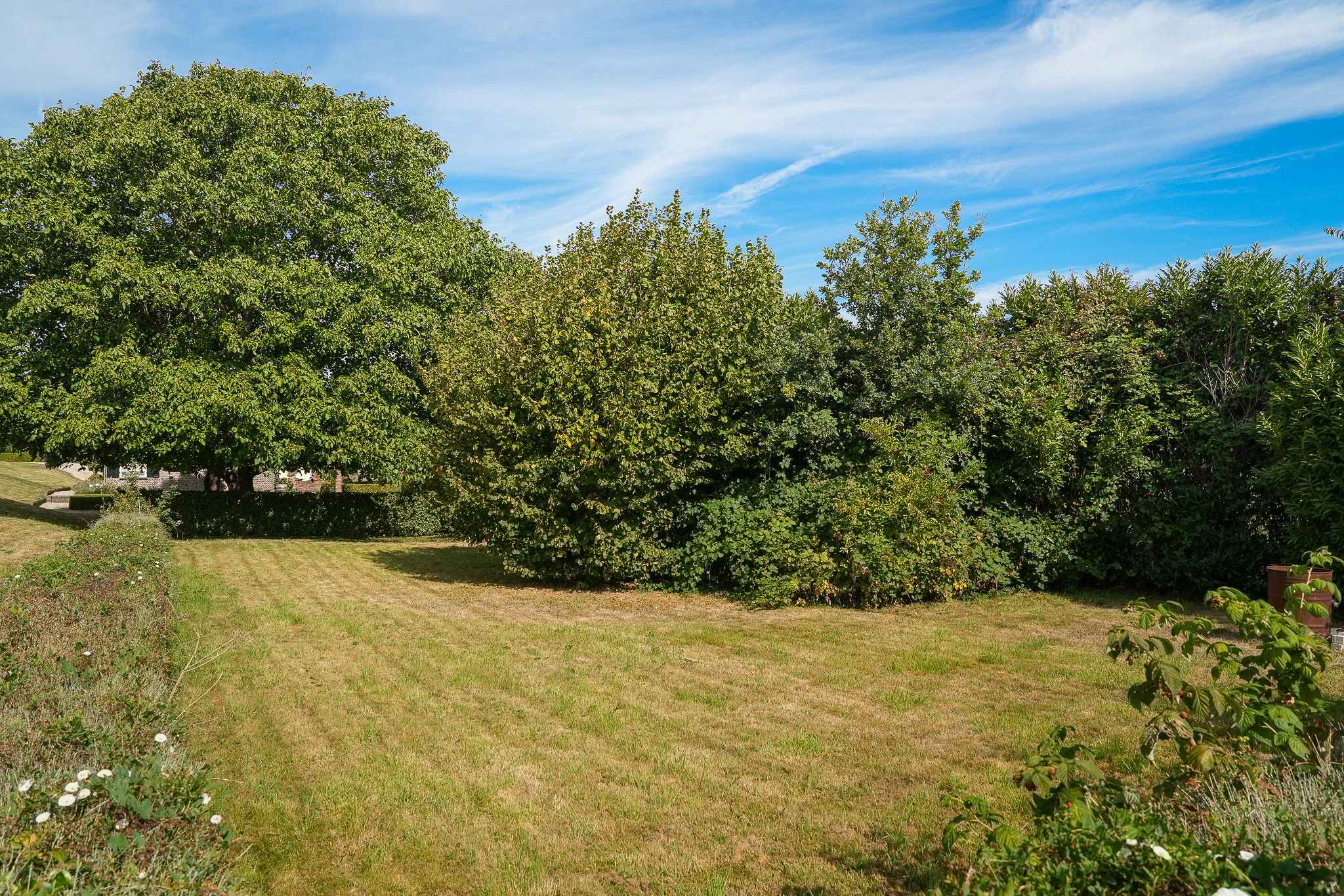 Foto 3 van Moordhuizen 6