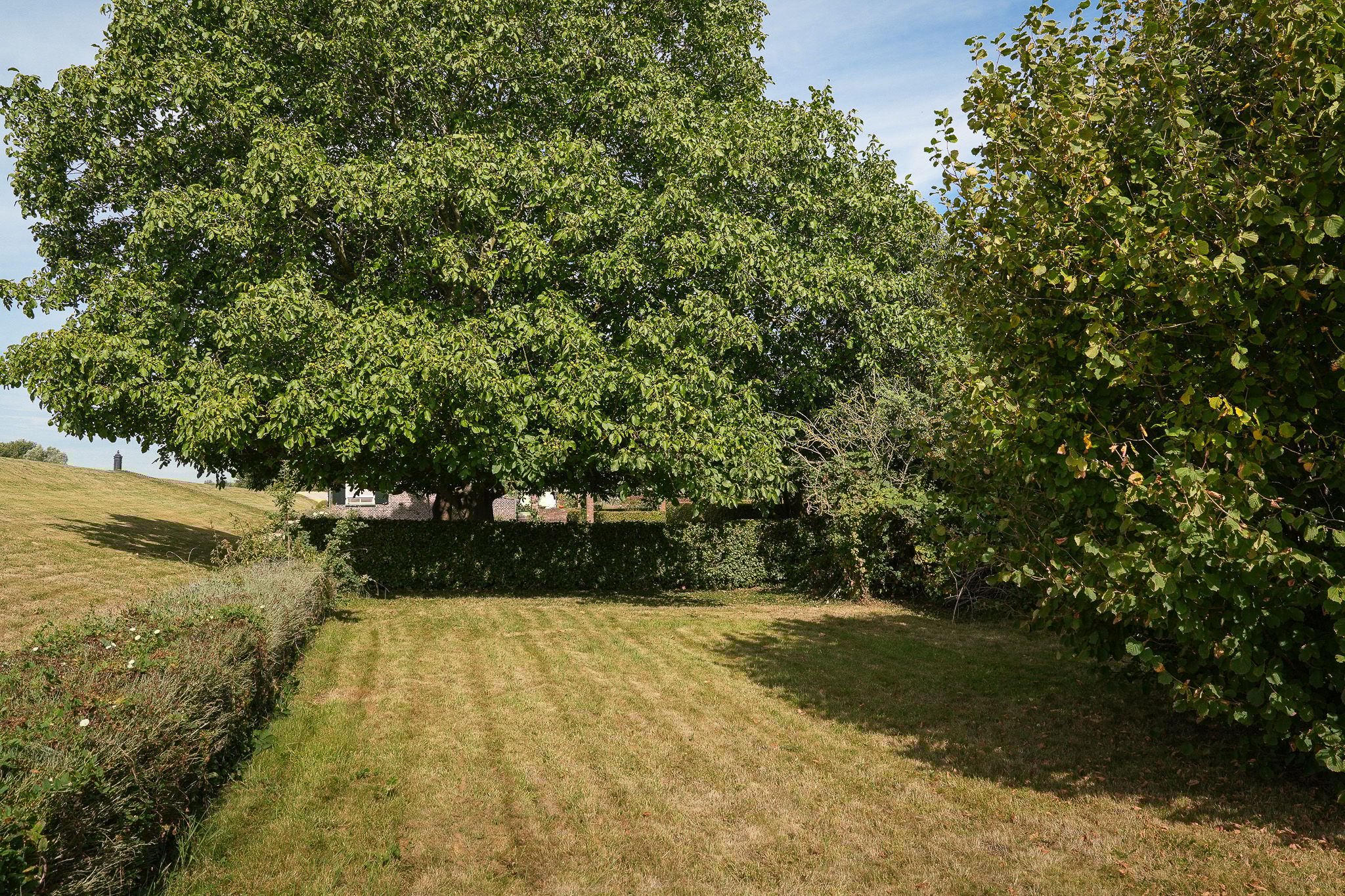 Foto 30 van Moordhuizen 6