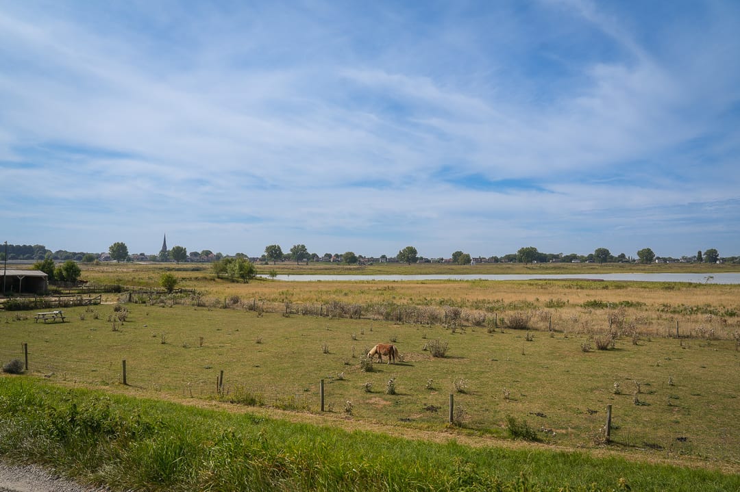 Foto 37 van Moordhuizen 6