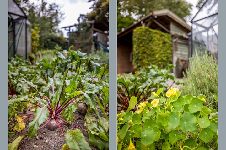 Foto 53 van Kometenlaan 8