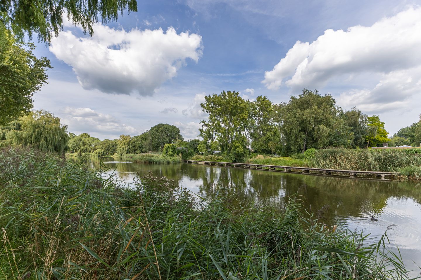 Foto 5 van De Weer 4