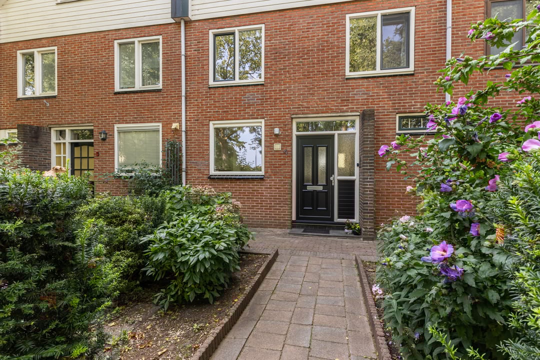 Foto 31 van De Weer 4