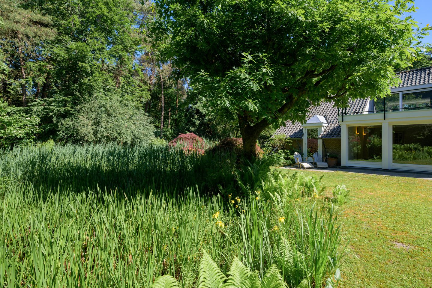 Foto 50 van Oude Bredasebaan 17