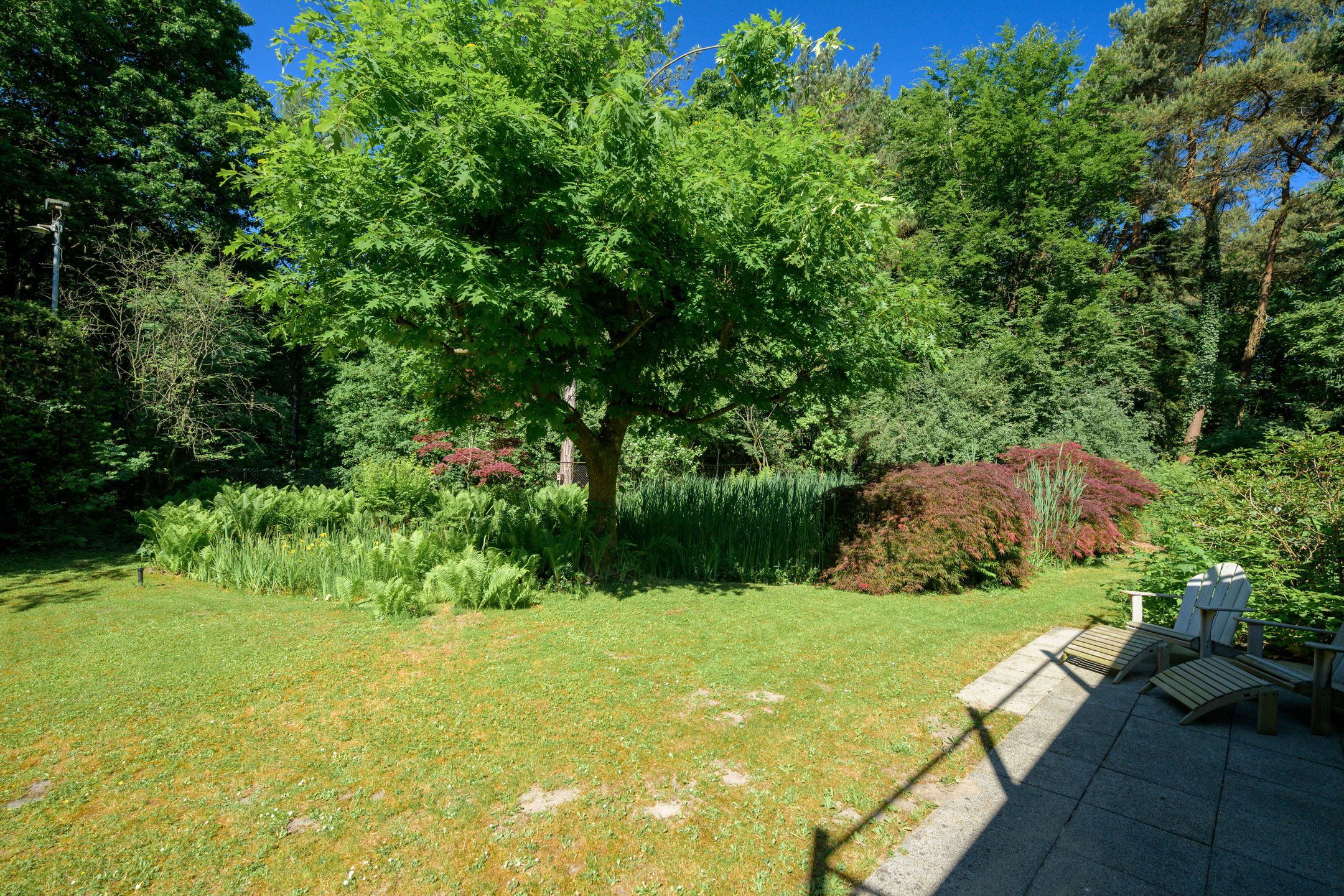 Foto 54 van Oude Bredasebaan 17